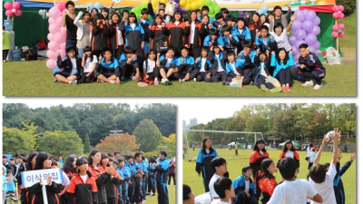Image 2010